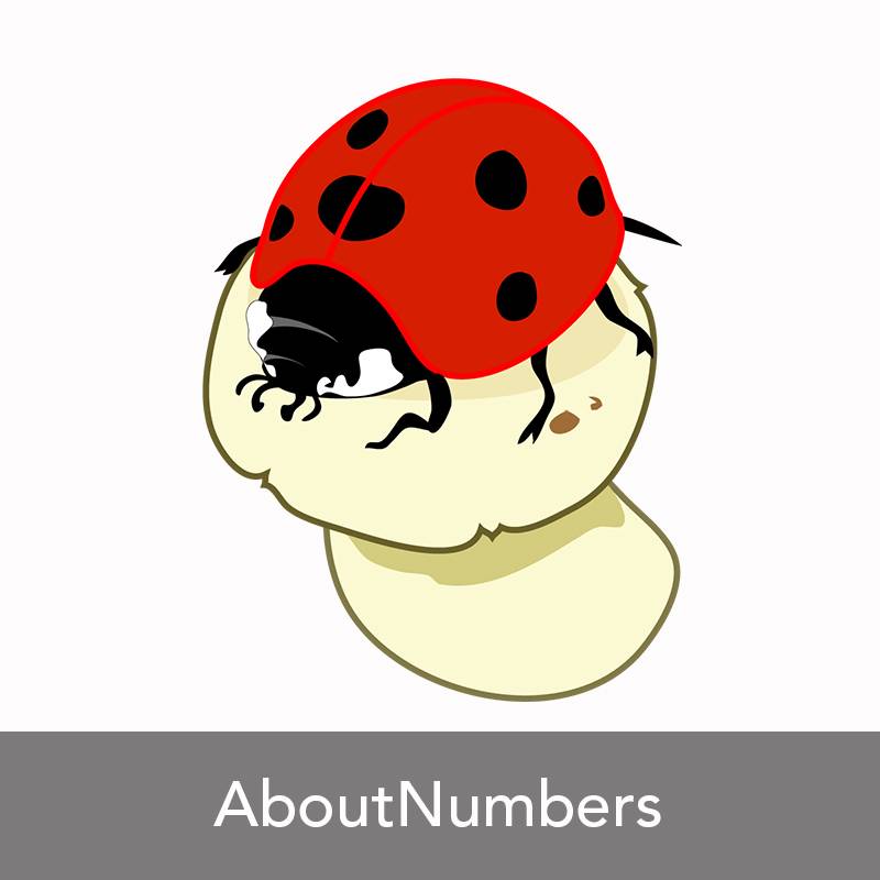 AboutNumbers AAC/ Mehrplatzlizenz