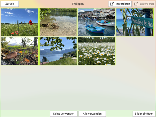 CatchMe 3.0 / Einzelplatzlizenz