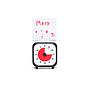 TimeTimer pocket
